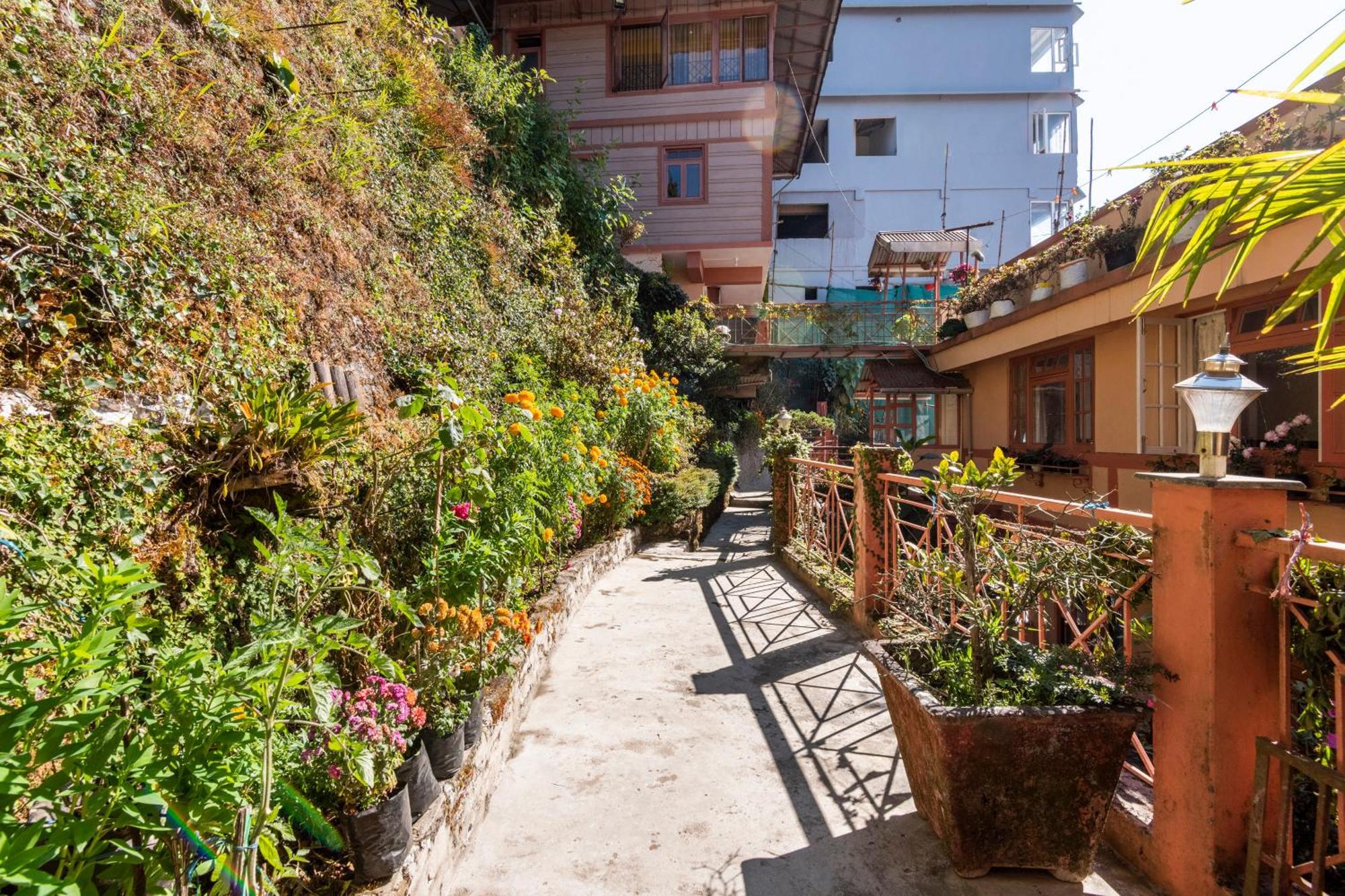Little Singamari Home Stay Дарджилинг Экстерьер фото