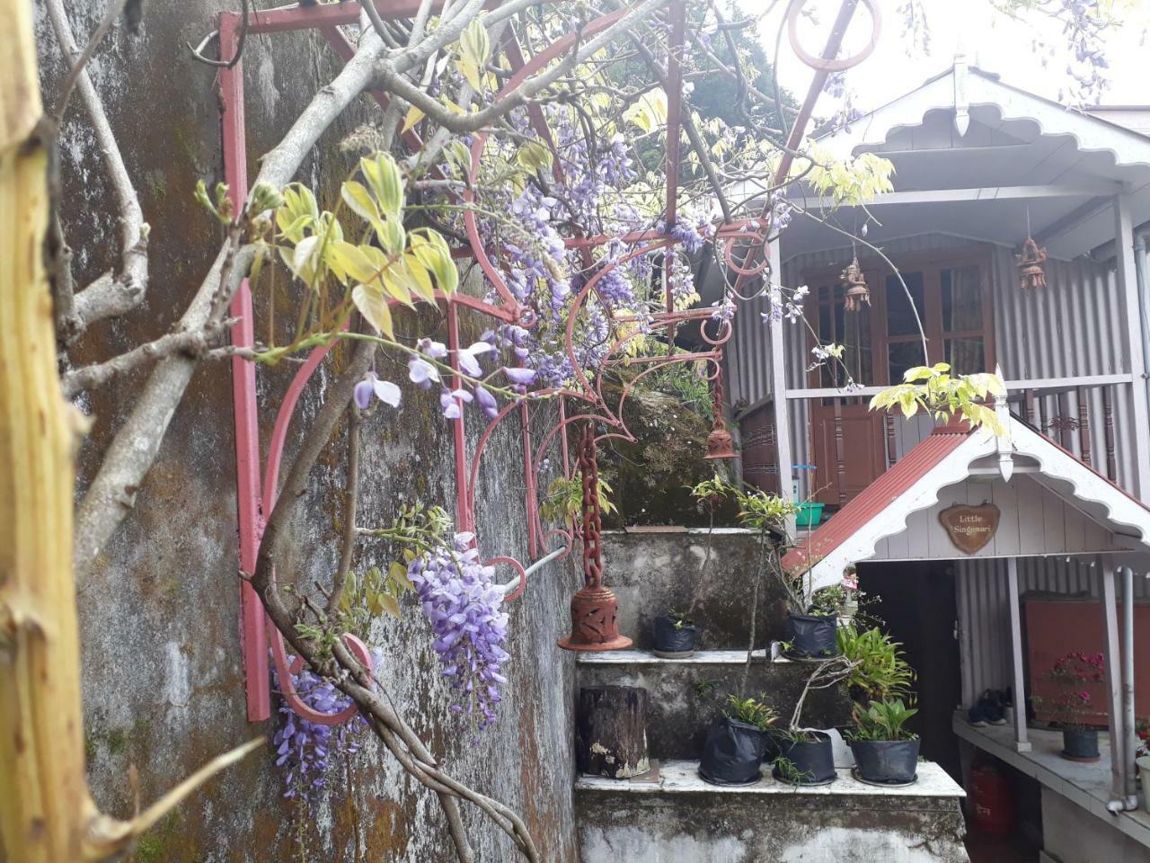 Little Singamari Home Stay Дарджилинг Экстерьер фото