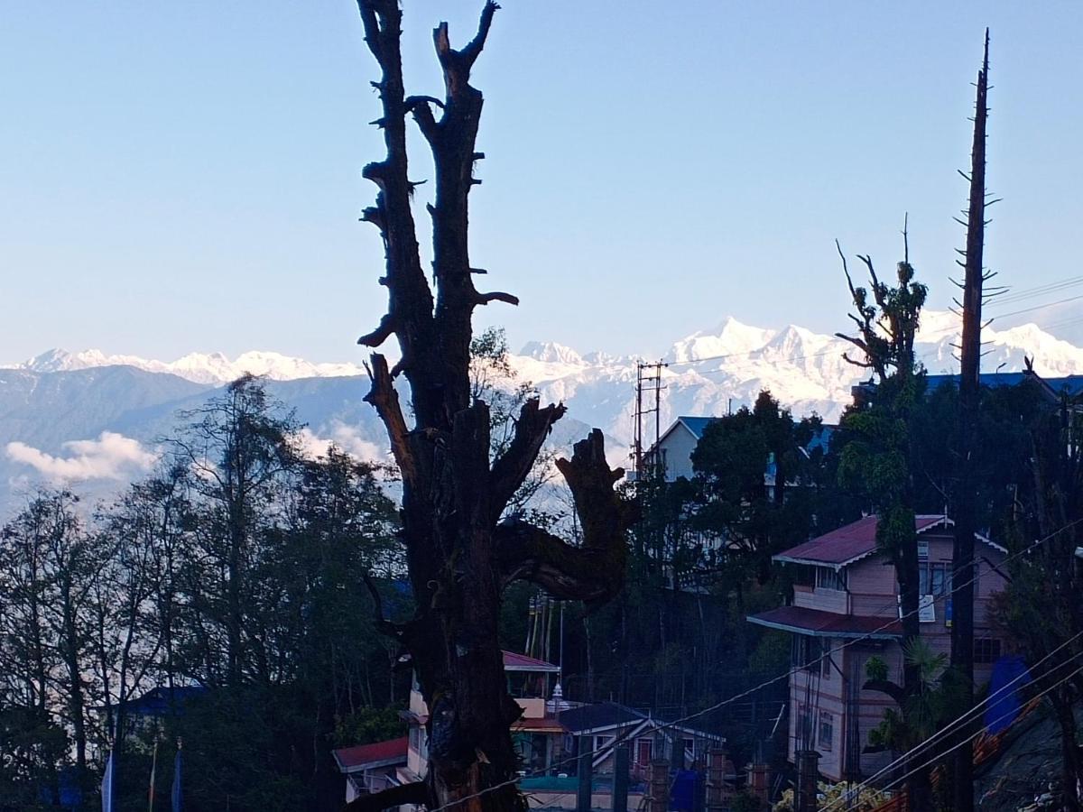 Little Singamari Home Stay Дарджилинг Экстерьер фото